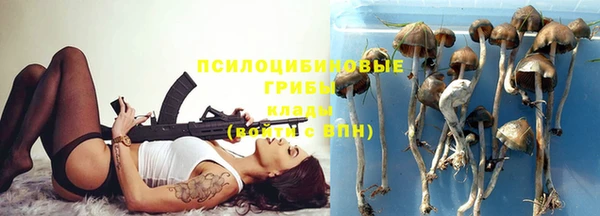 ALPHA PVP Снежногорск