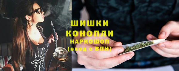 шишки Баксан