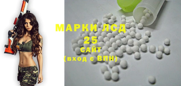 шишки Баксан