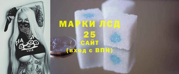 шишки Баксан