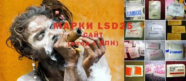 PSILOCYBIN Балабаново