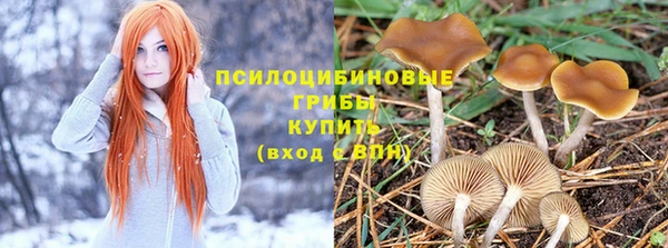 шишки Баксан