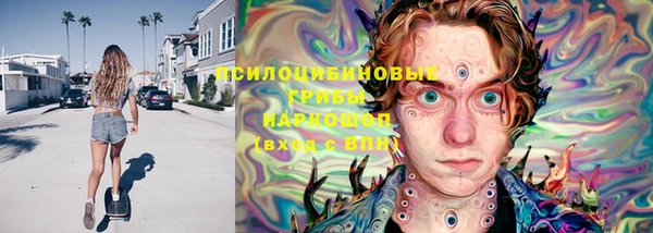 шишки Баксан