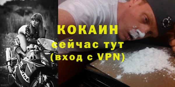 шишки Баксан