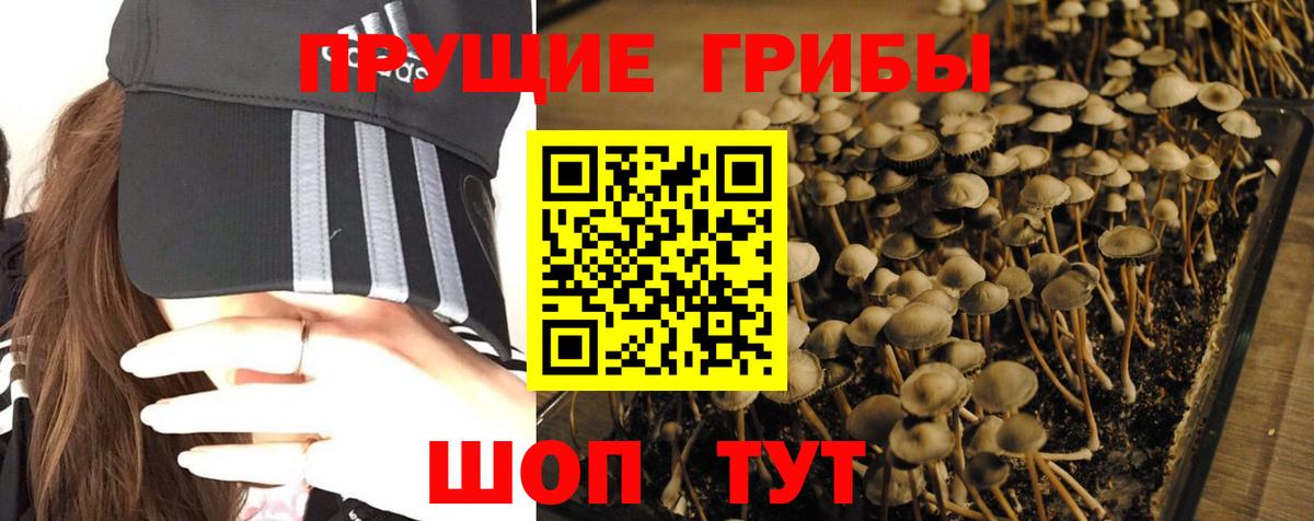 Псилоцибиновые грибы ЛСД Спасск-Дальний